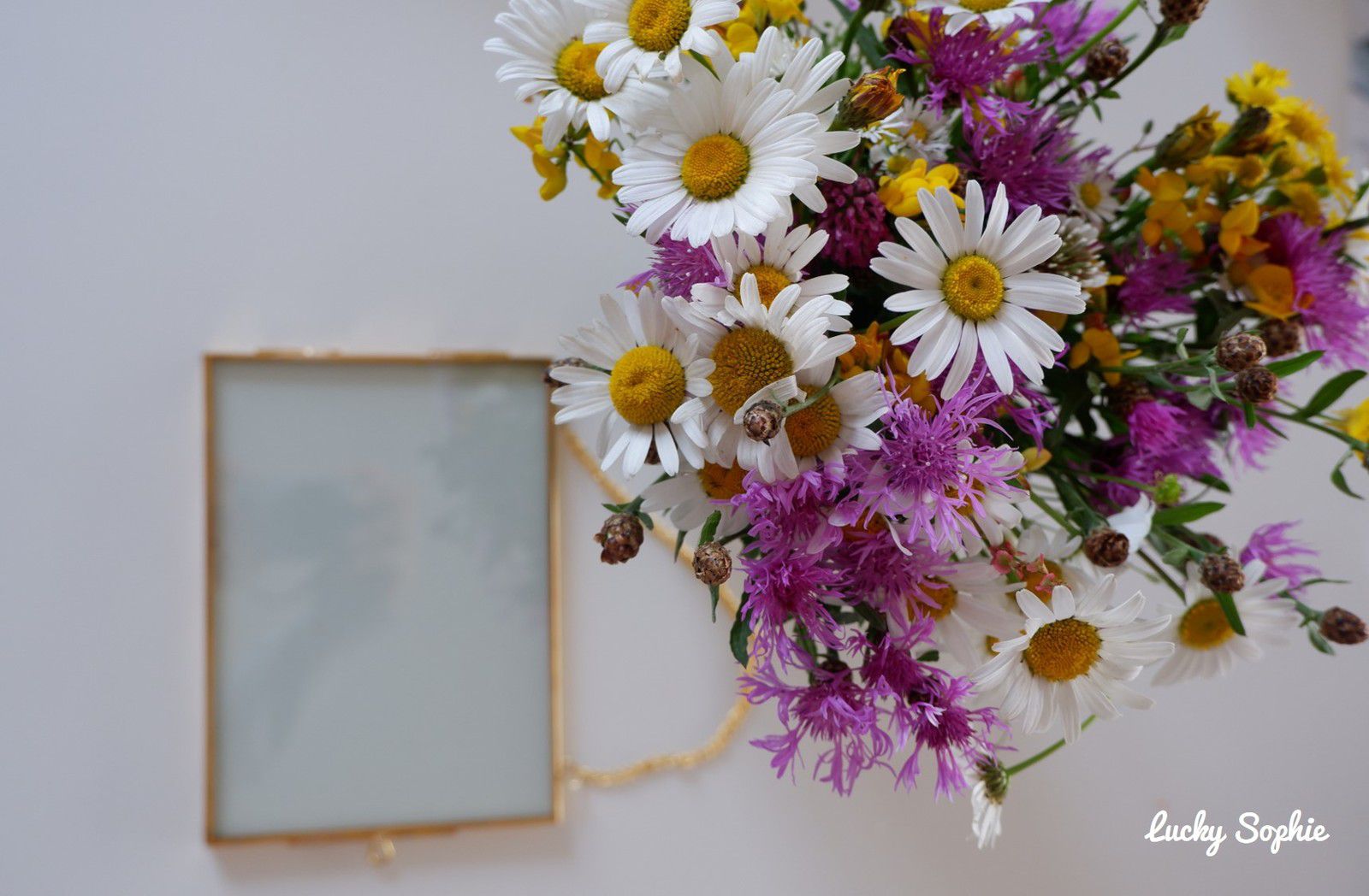 Cadre de fleurs pressées sous verre DIY