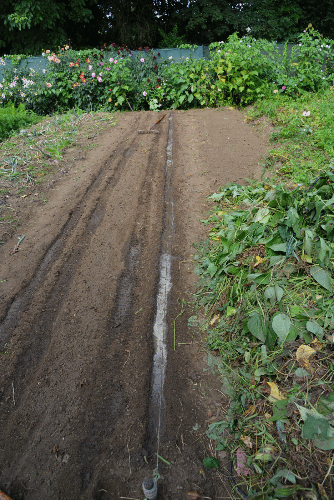 La fin des haricots ...
