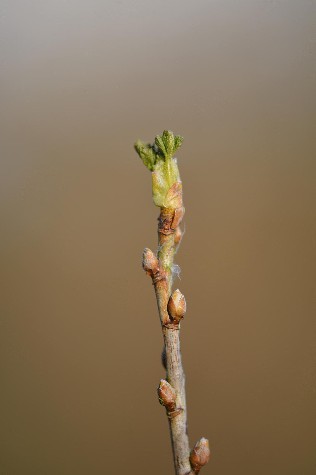Malgré le froid ...