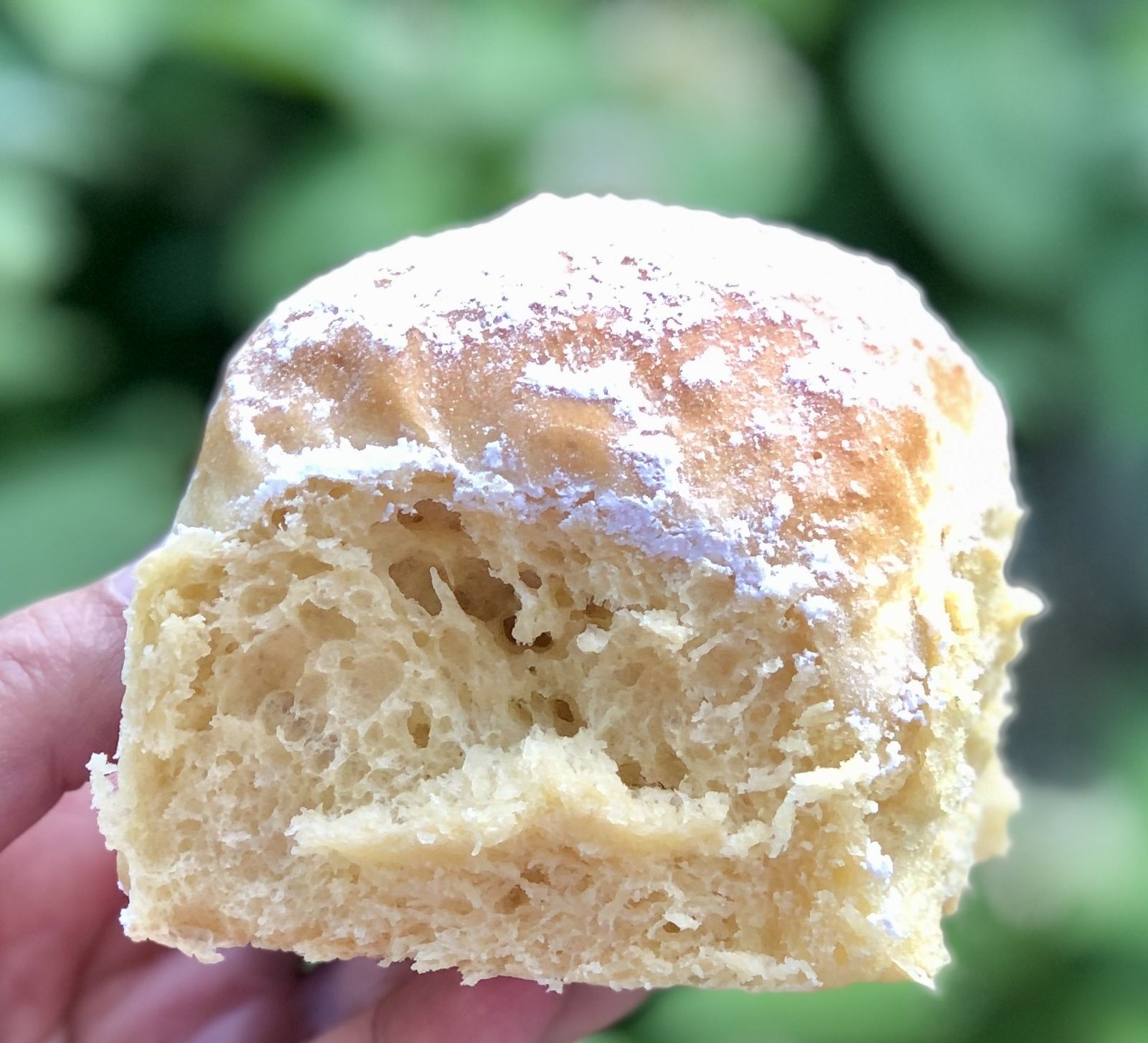 Brioche Buchty à la crème liquide