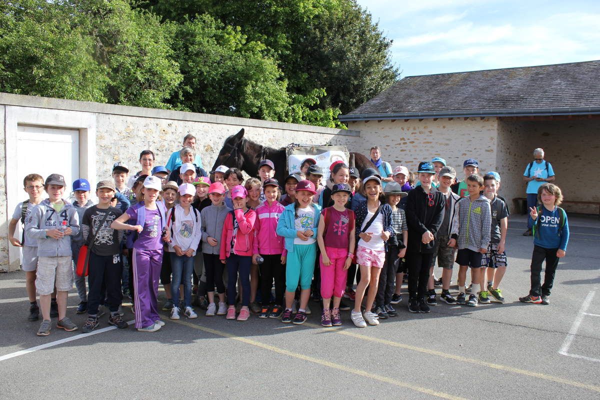 mulet au milieu des enfants