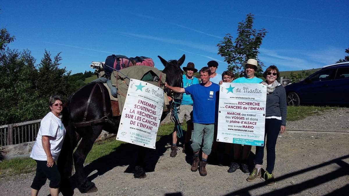 marche contre le cancer dans les vosges