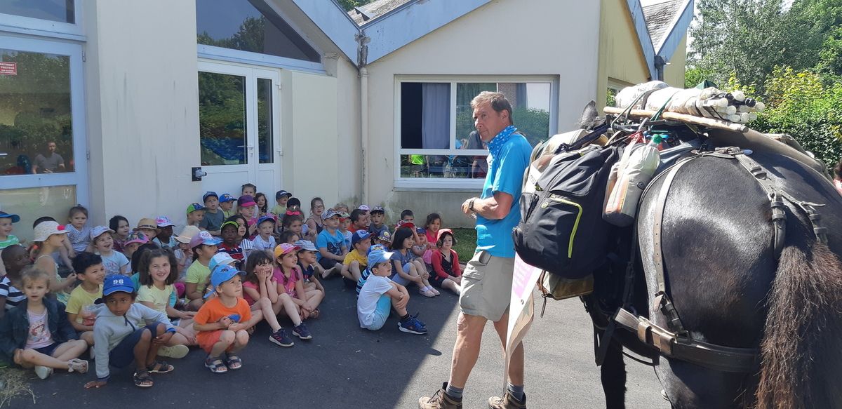 un mulet à l'école