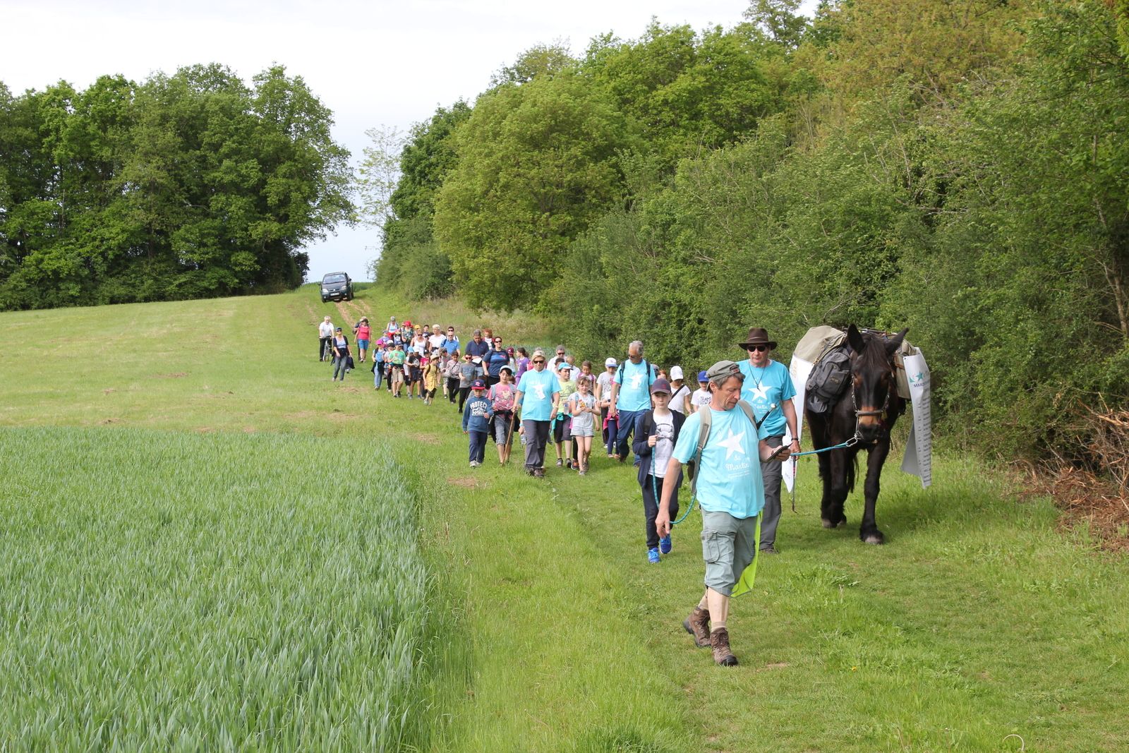 mulet en promenade pédagogique avec les enfants CE et CM
