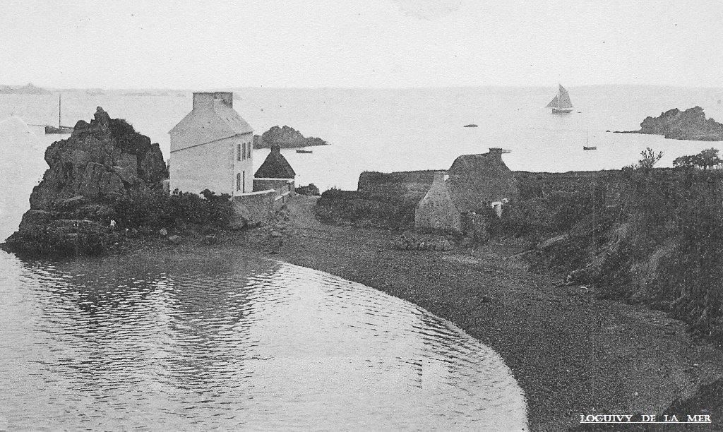 Licence FFVOILE 2020