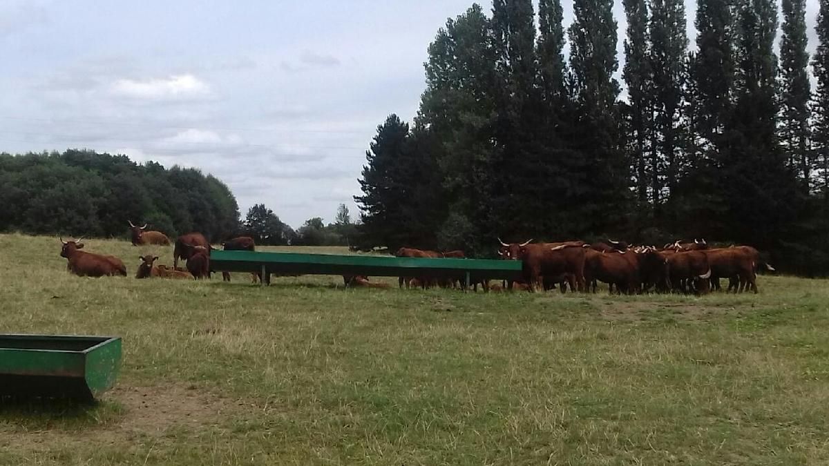 Photo de Solange Oriac.