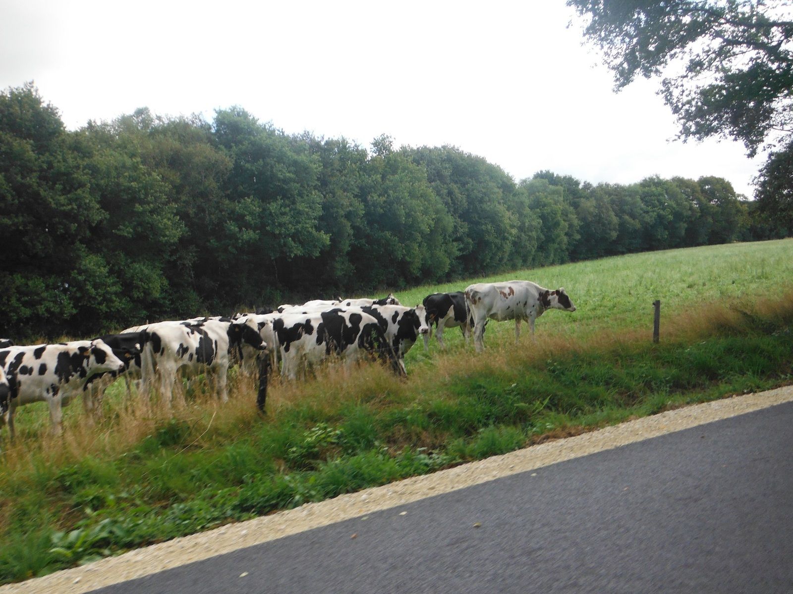 Après le Tourlenquin.