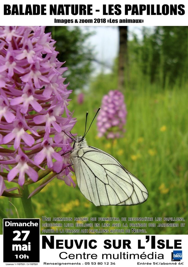 Balade nature avec Gaëtan Bourdon 27 mai Neuvic