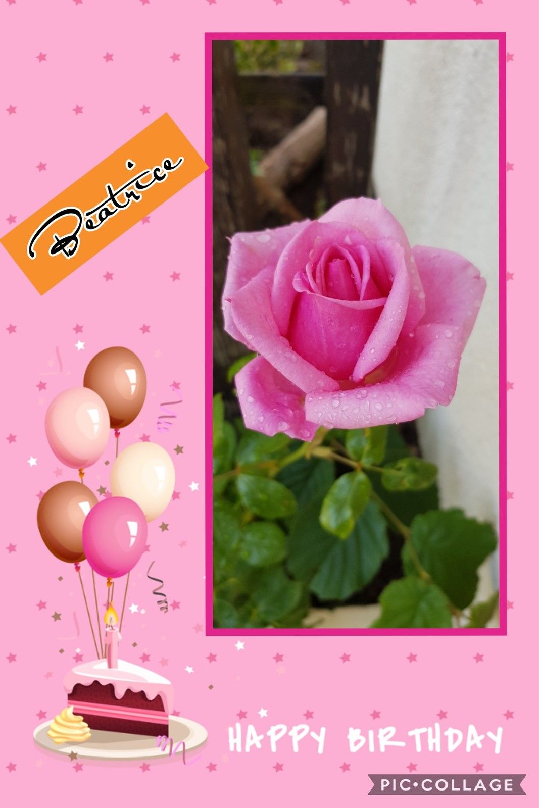 Joyeux Anniversaire Beya Maxou Loisirs
