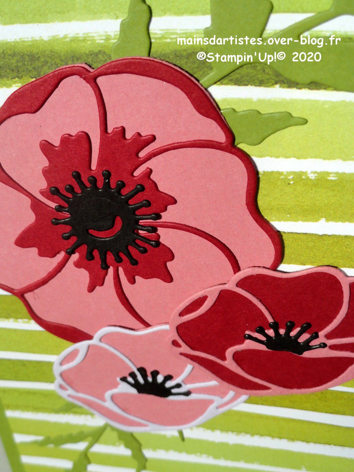 COLLECTION,CHAMPS DE COQUELICOTS,STAMPIN'UP!.