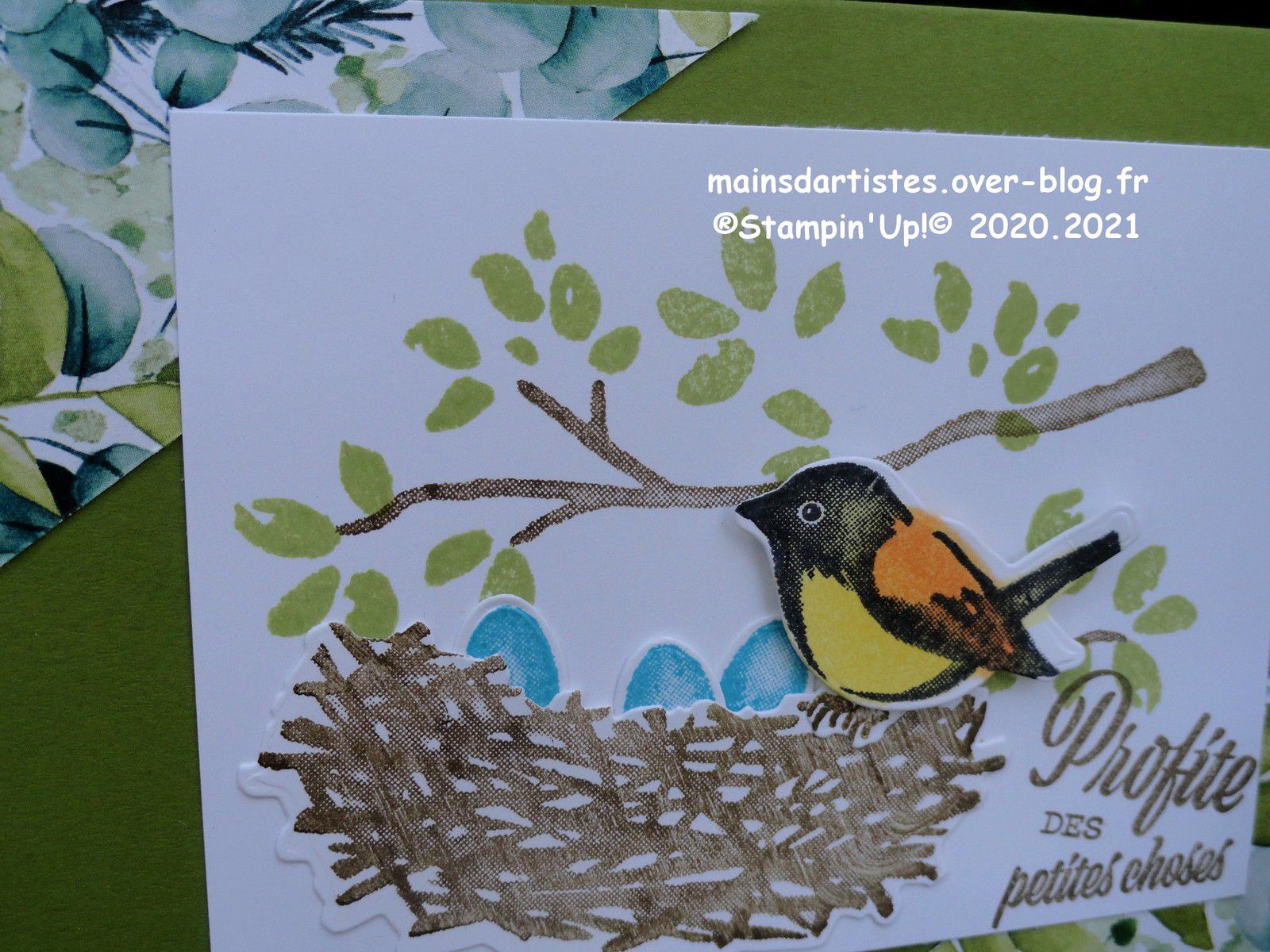 BIRDS AND BRANCHES,STAMPIN'UP!