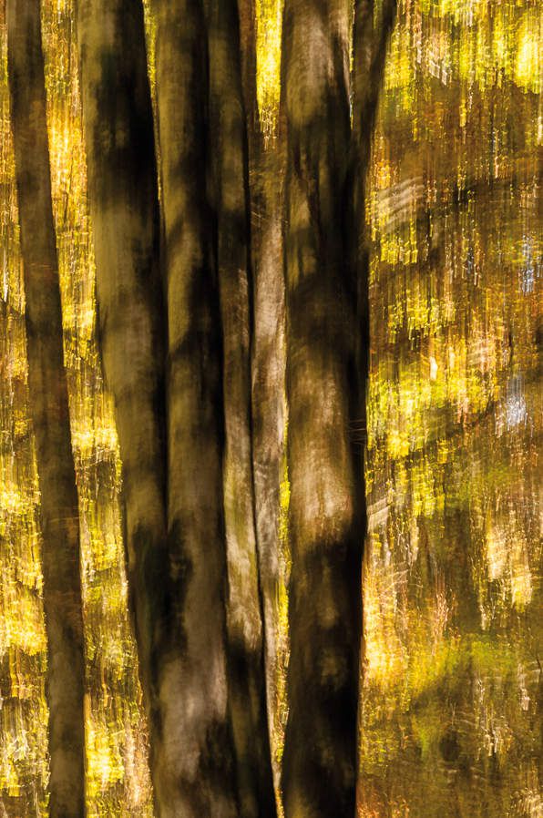 © Elena Peinado Nevado, Iraty, 2014