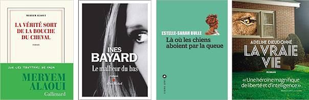 prix-fnac-2018-roman-finalistes-audetourdunlivre.com