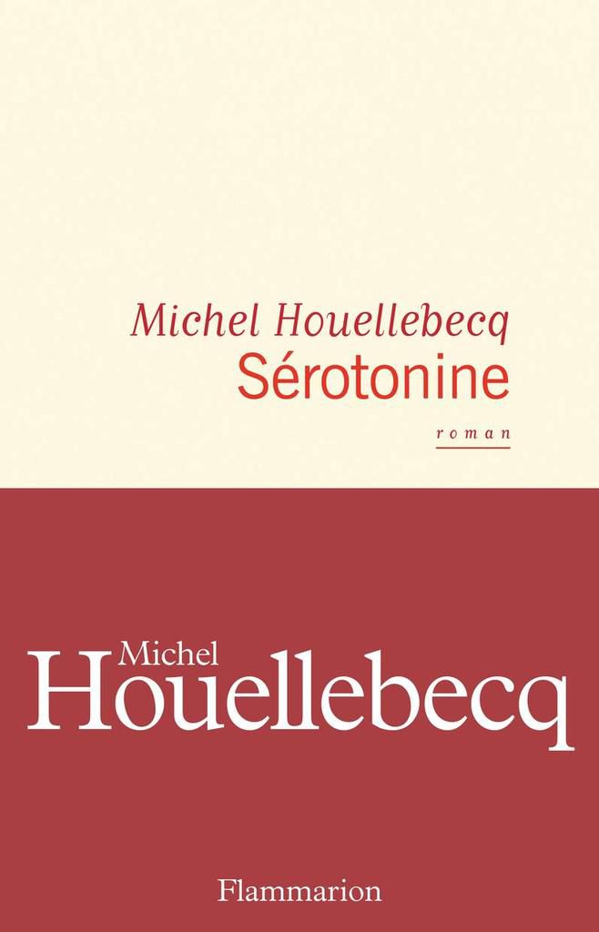 RÃ©sultat de recherche d'images pour "serotonine houellebecq"