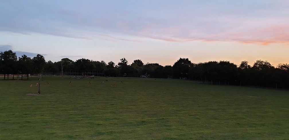 coucher de soleil africa lodge nuit au zoo de la boissière du doré près de Nantes