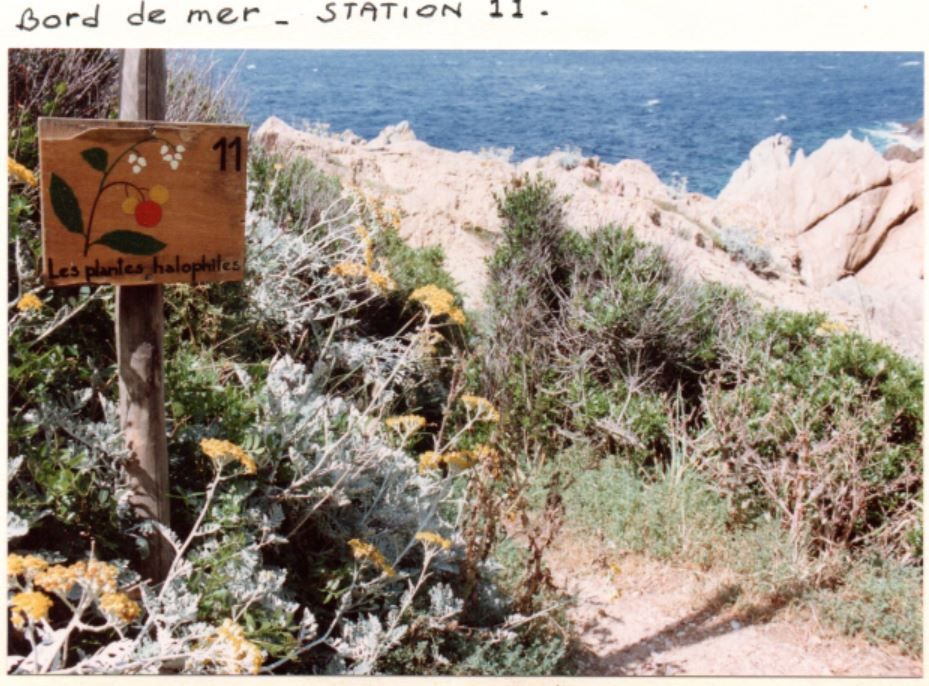 C'était les panneaux de la Réserve naturelle volontaire des Arbousiers île du levant domaine