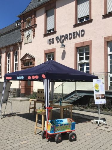 Der bunte Bollerwagen der AG, ein blauer Pavillon stehen vor dem Gebäude der IGS Nordend auf dem "IGS Nordend" steht.