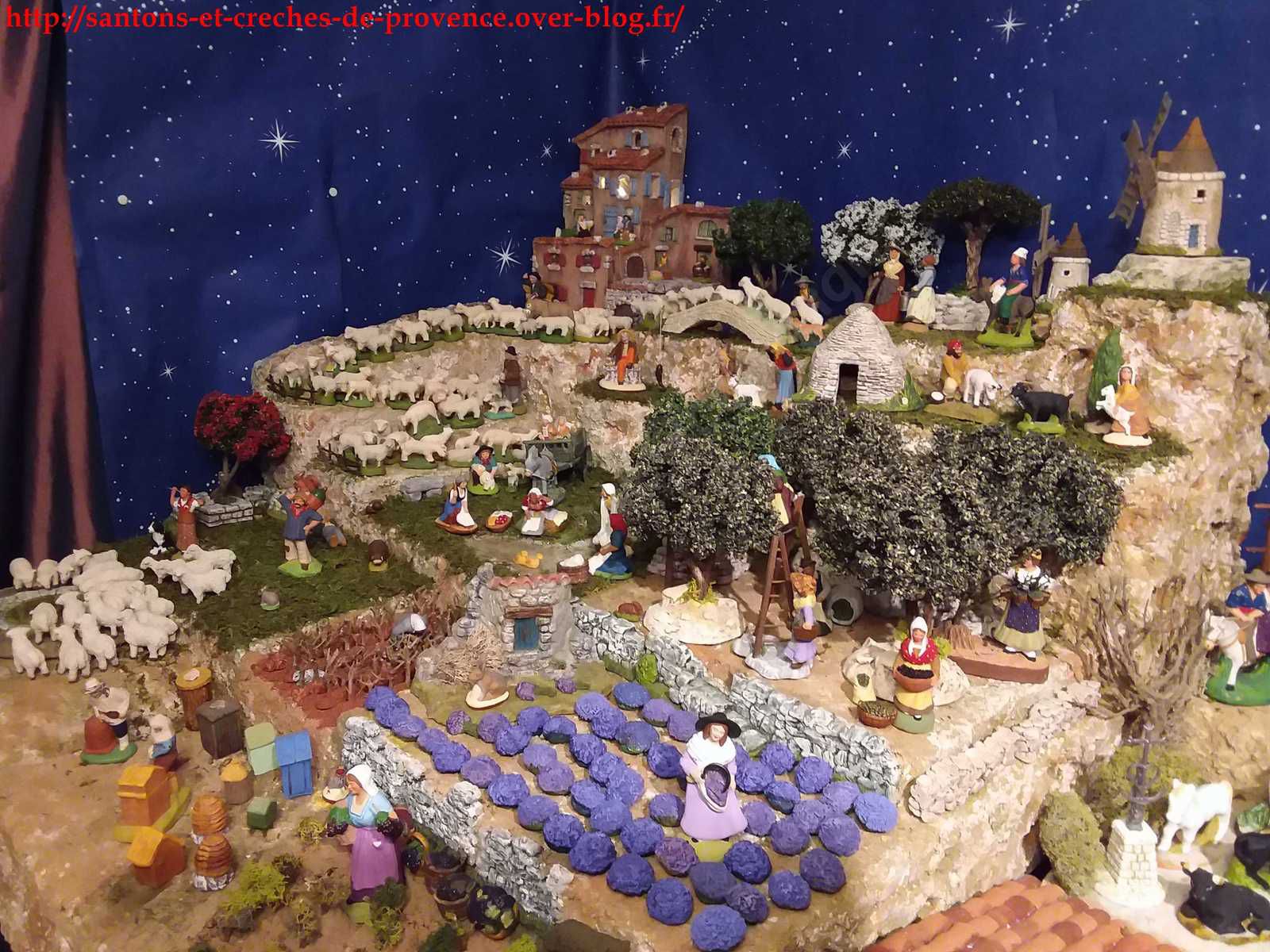 La récolte de la lavande et des olives, les ruches. Les lavandes sont d'Isabelle.