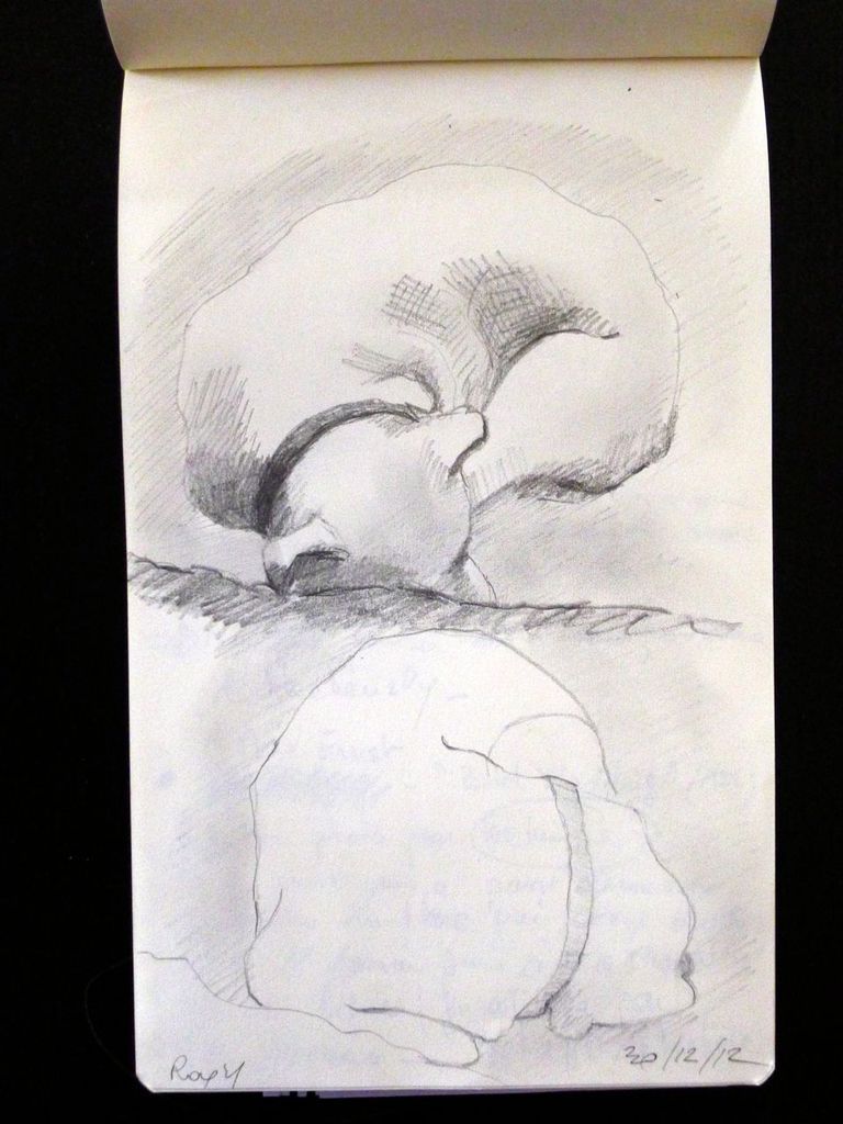 carnets de croquis