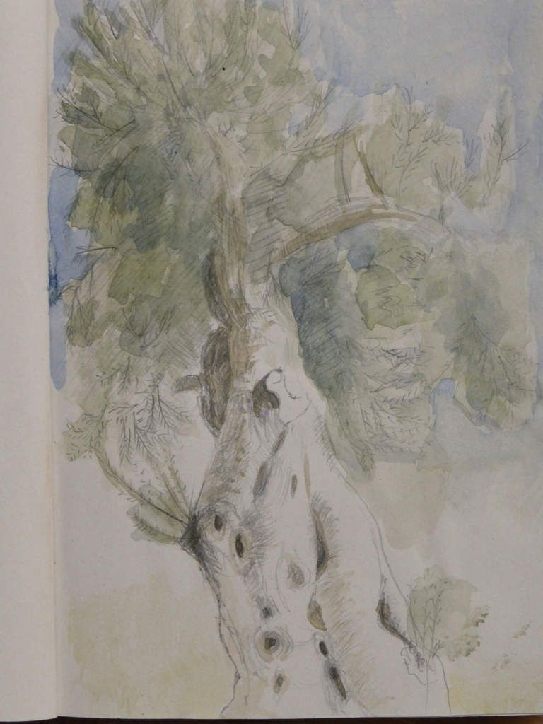 carnets de croquis