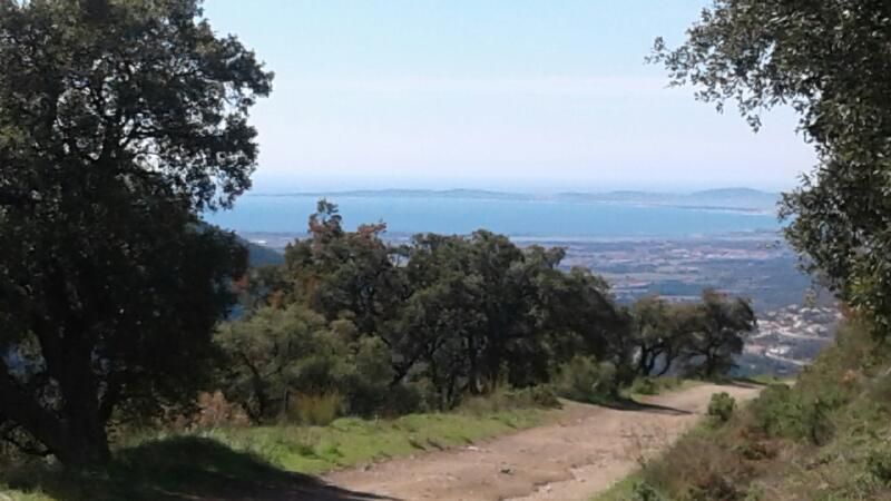 Séjour Hyères Lundi 19 mars 2018