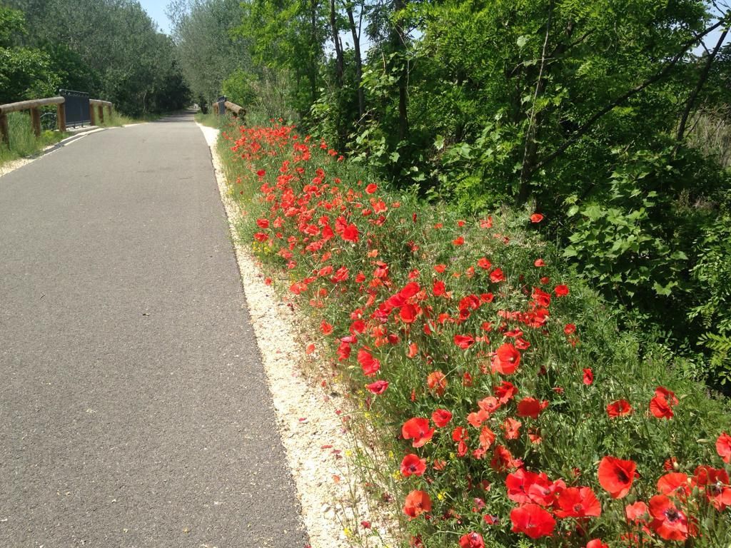 Vaison Séjour---- Mercredi 9 Mai 2018