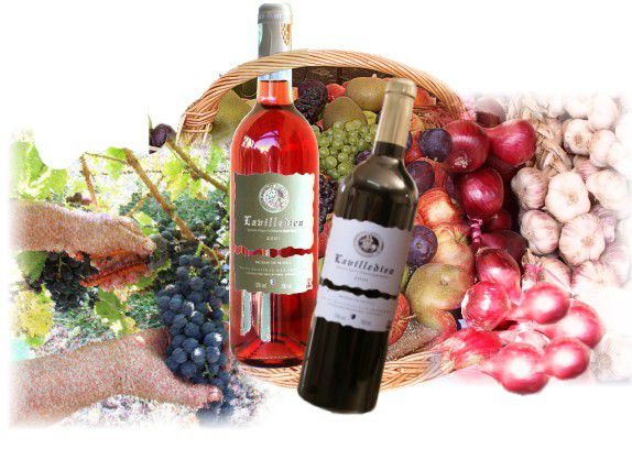 Vin de Lavilledieu rouge, et poulet rôti au confit de citron, à la broche -  le blog de Michel ZORDAN