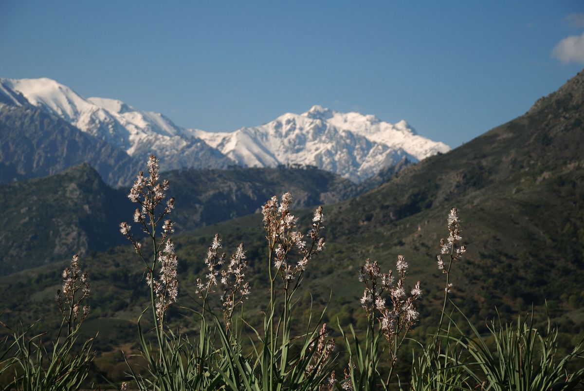 BELLA CORSICA !