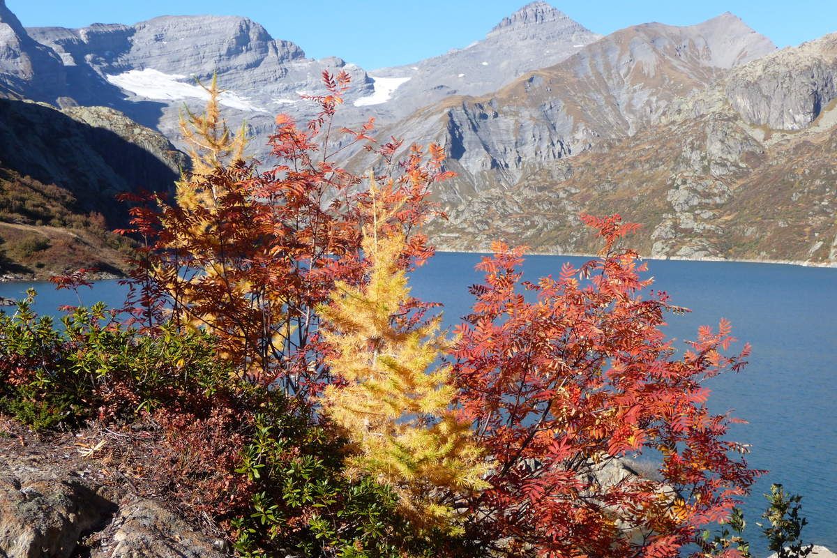 Photos Yves Barguillet 