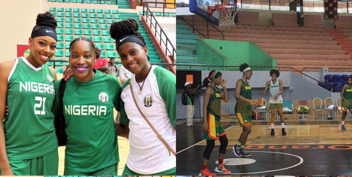 Afrobasket féminin : Bagarre entre les équipes du Nigeria et du Sénégal -  NEWS BASKET BEAFRIKA