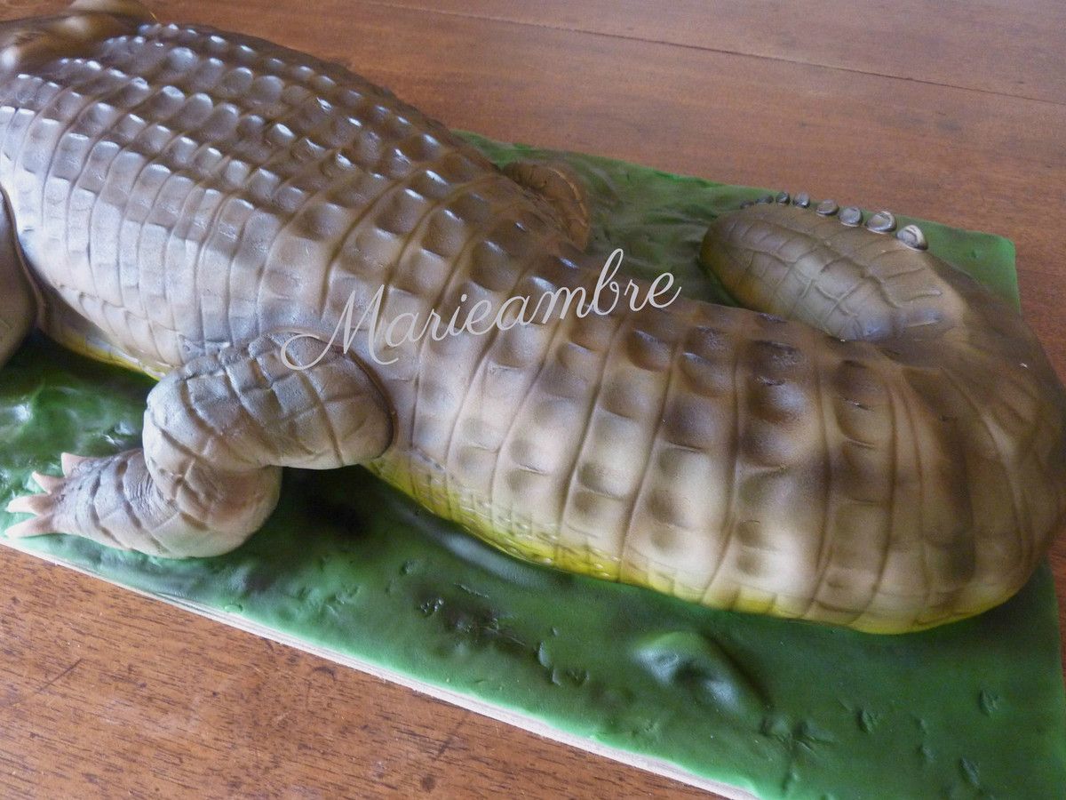 Le Blog De Marieambre Bonjour A Tout Le Monde J Habite L Ariege Un Departement Du Sud De La France Je Suis Une Passionnee De Patisserie En General Et Particulierement Des Gateaux Recouverts Le Blog De Marieambre Bonjour A Tout Le Monde J Habite L Ariege Un Departement Du Sud De La France Je Suis Une Passionnee De Patisserie En General Et Particulierement Des Gateaux Recouverts