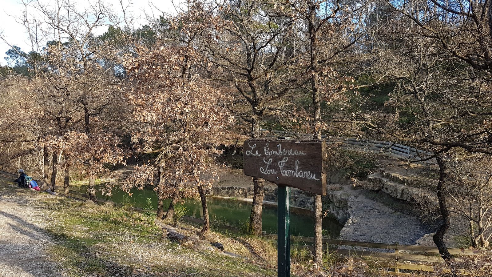 Rando du 06/01/2020-Forêt de Gréasque