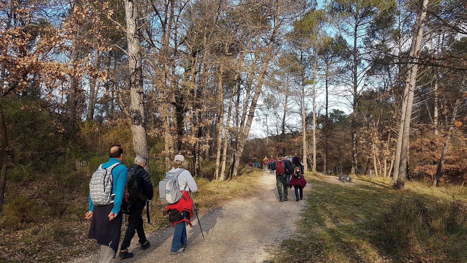 Rando du 06/01/2020-Forêt de Gréasque