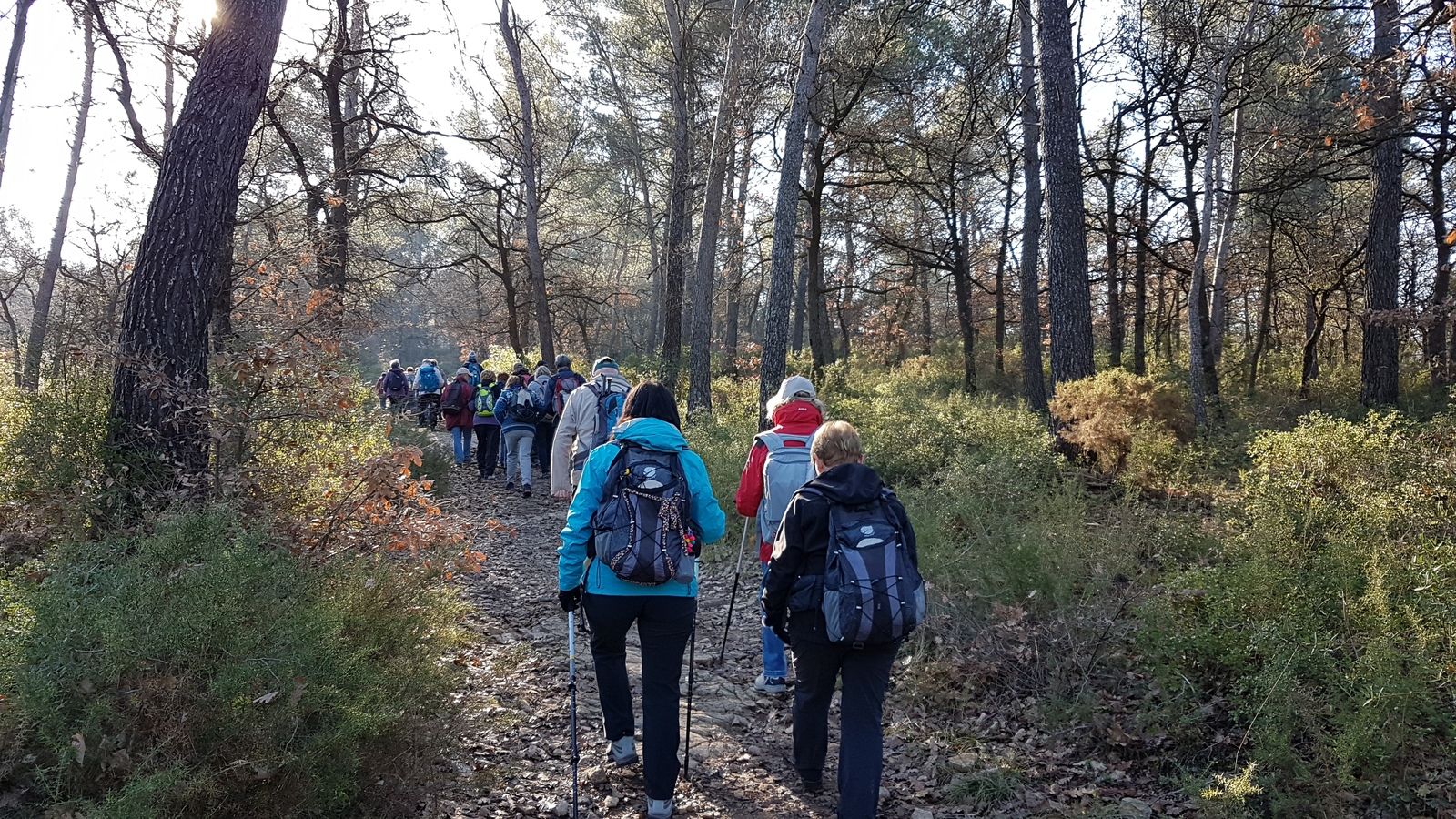 Rando du 06/01/2020-Forêt de Gréasque