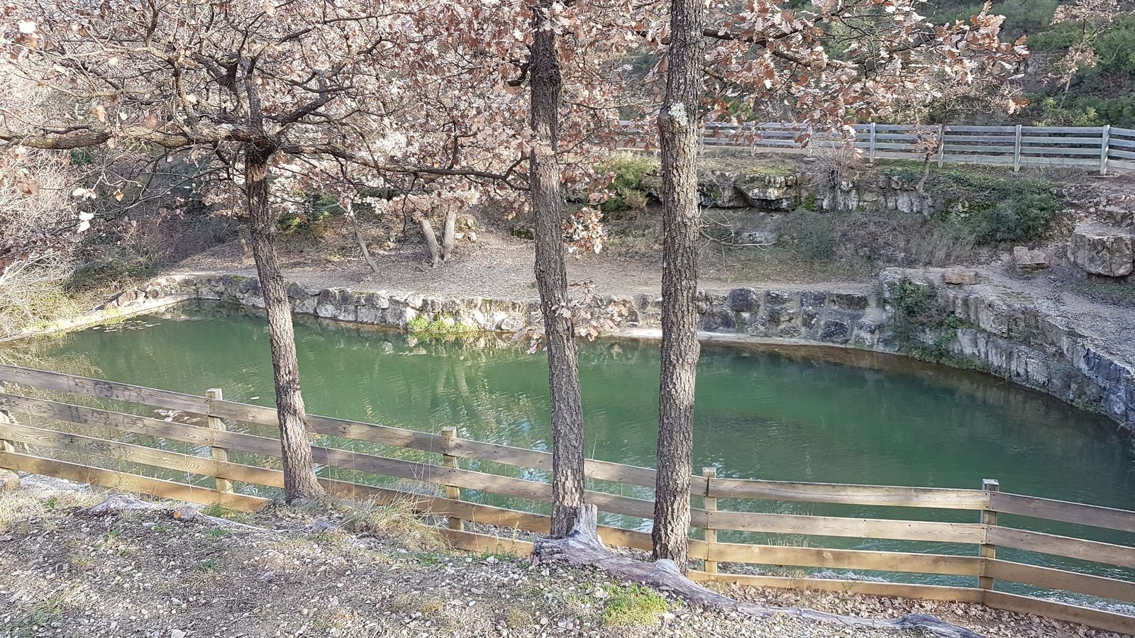 Rando du 06/01/2020-Forêt de Gréasque