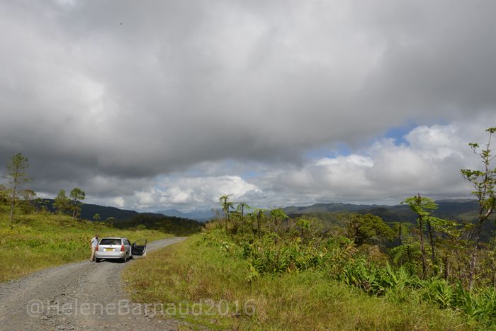 De retour, VITI LEVU, FIDJI
