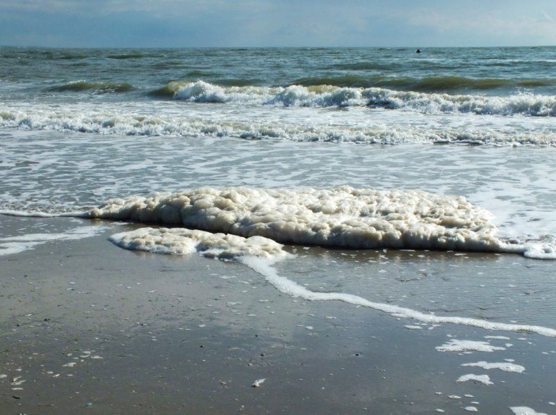 Pourquoi l'eau de mer créée de la mousse sur la plage ?