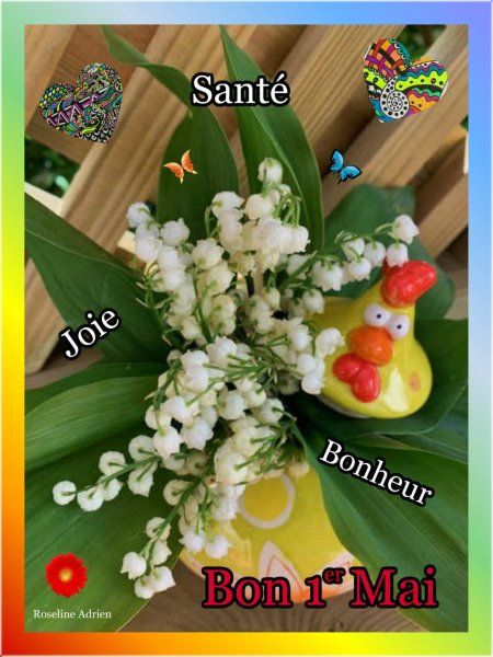 EN CE PREMIER MAI UNE PETITE CARTE PLEINE DE FRAÎCHEUR PORTEUSE D'ESPOIR ET DE RENOUVEAU