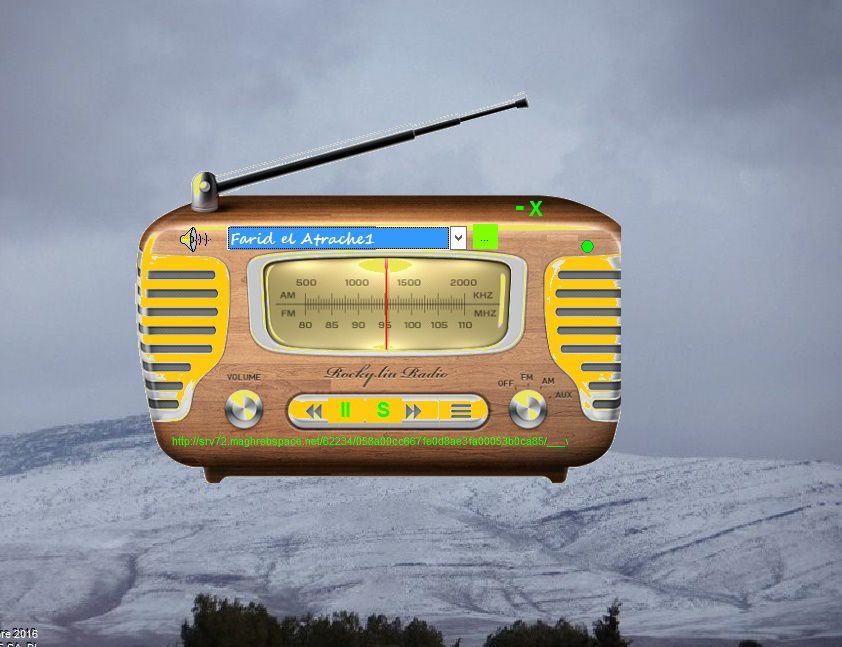 In same registry can build a transparent  form with a radio streamer player like this photo