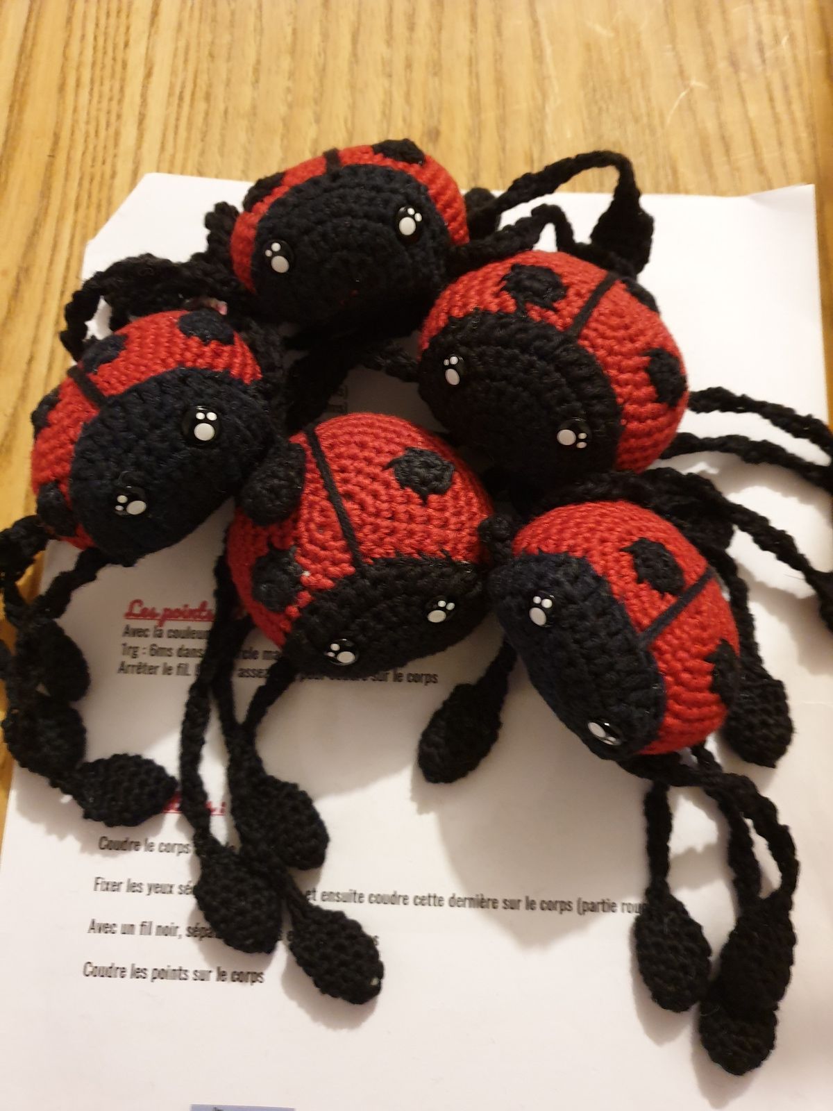 Des coccinelles rouges pour Thomas CROCHPASSION Des coccinelles rouges pour Thomas CROCHPASSION