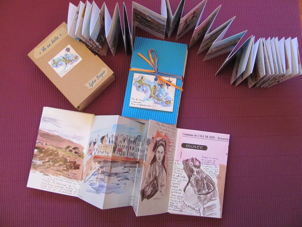 Enez sun - petit carnet des îles - Sylvie Bargain
