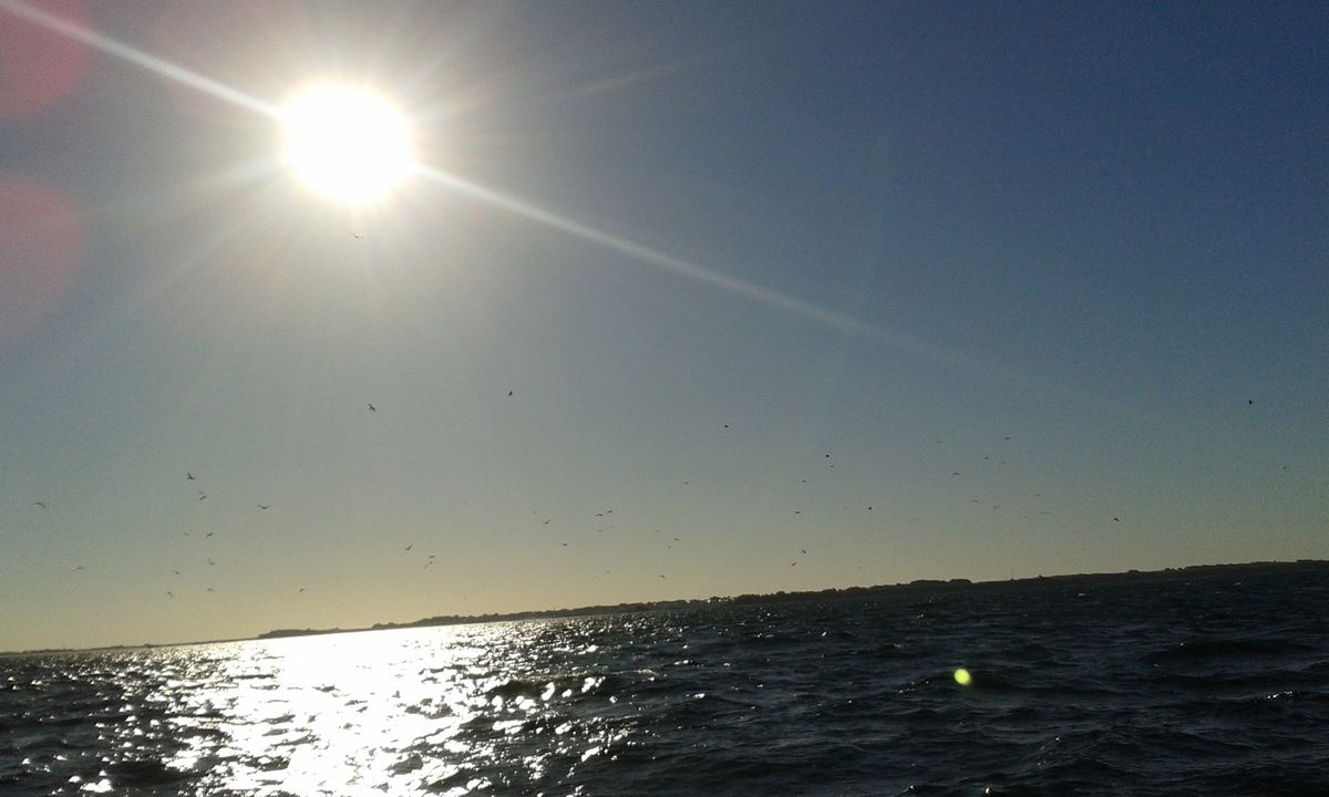 splendides lumières en ce petit matin !