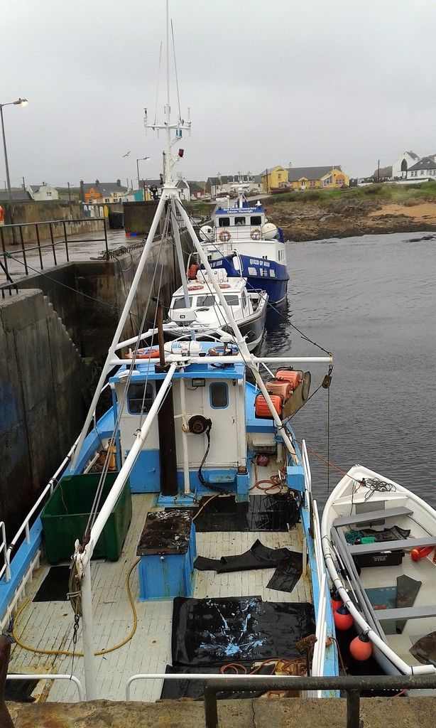 quelques jours auparavant, à marée basse...