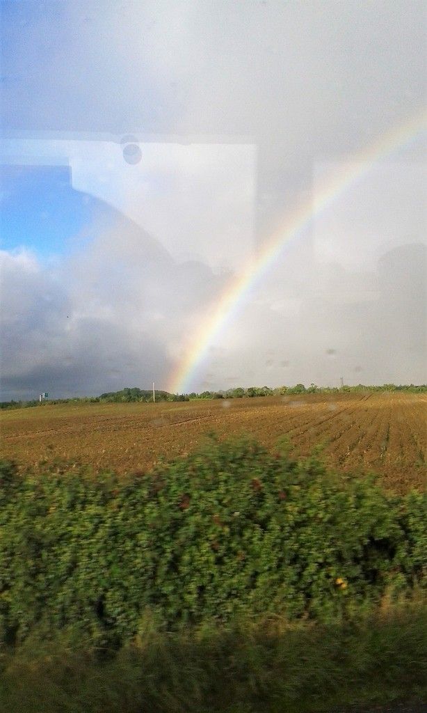 Dans le bus après la tempête...