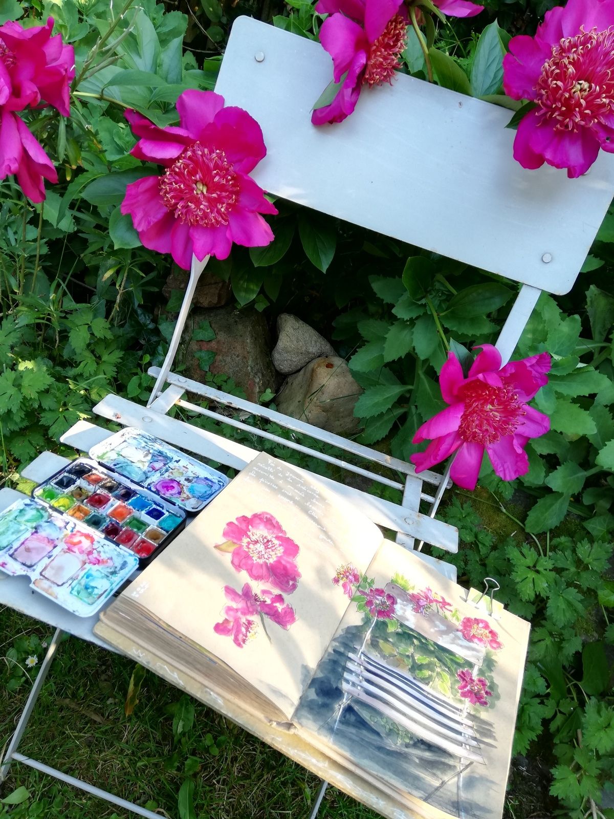 Fin de journée... les pivoines sont lourdes