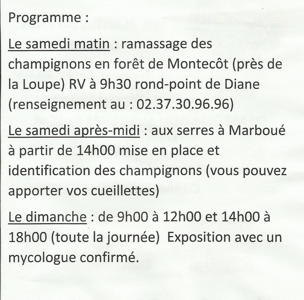 Exposition de champignons à Marboué. Eure et Loir  2017.