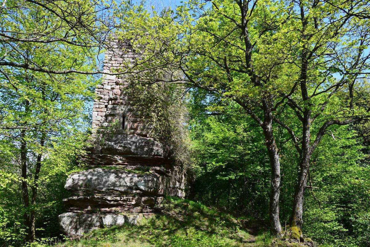 Les ruines du petit Geroldseck