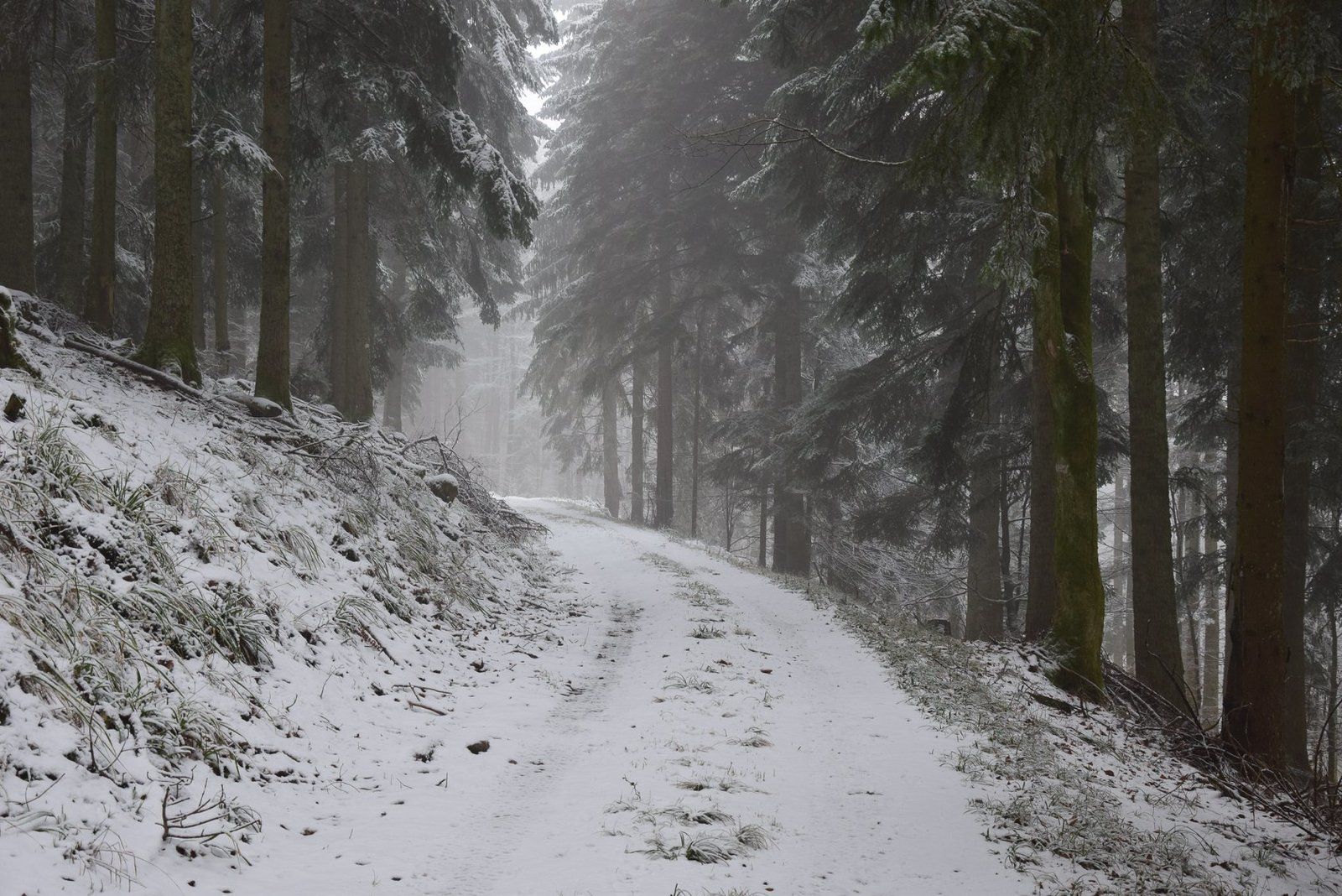 Un chemin enneigé au Struthof
