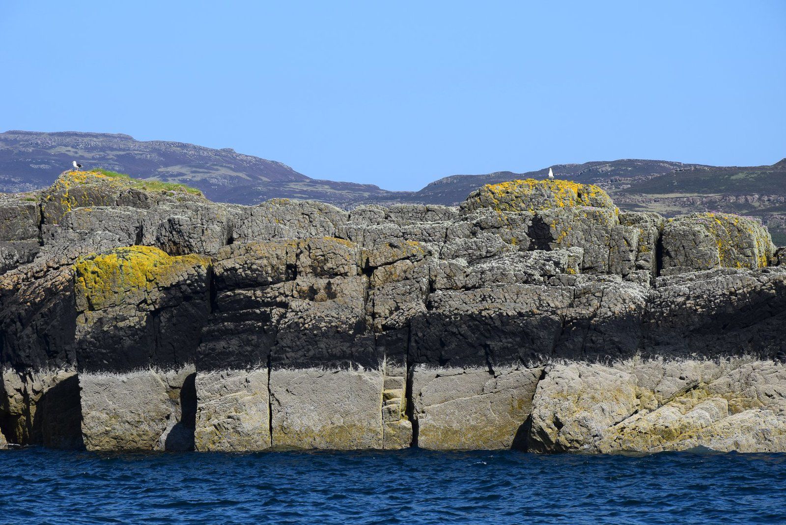 Nous quittons Mull pour une journée en mer. Nous visiterons les îles de Staffa et aussi Lunga, l'île des perroquets des mers 