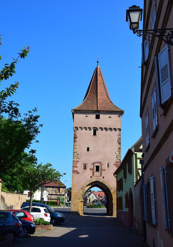 La porte du Lion est un vestige du Moyen-Age qui faisait partie de l'enceinte de Rosheim élevée en 1262. Cependant, la cité médiévale n'accède au rang de ville que 5 années plus tard 